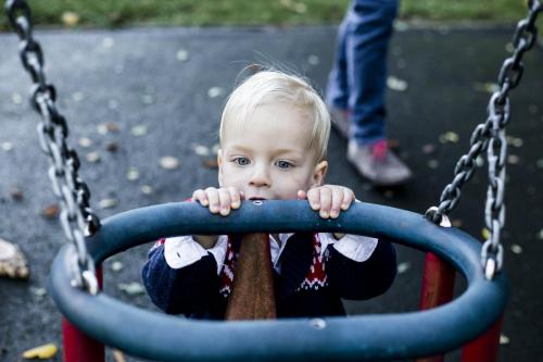 IMG 7861