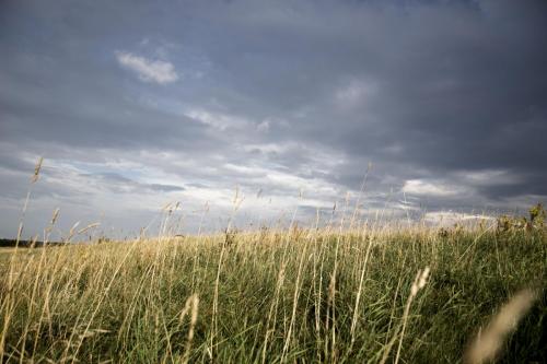 IMG 4596