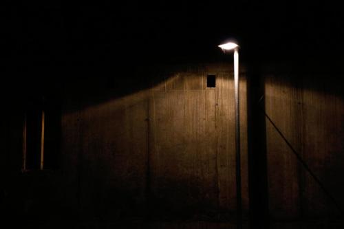 IMG 71559