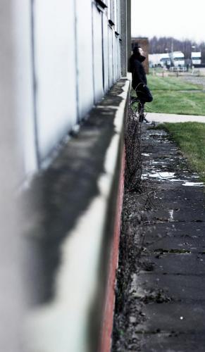 IMG 7411