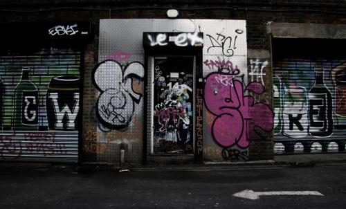 IMG 77132